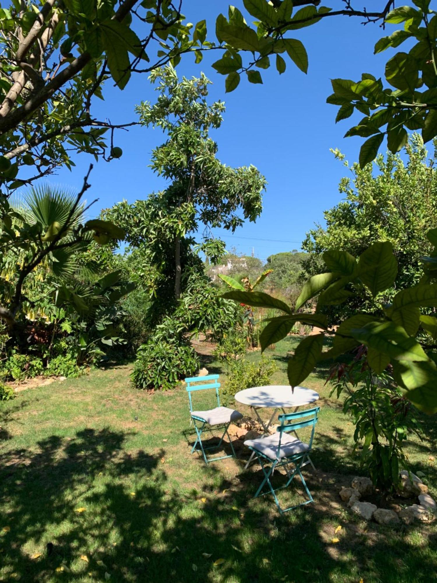 A Tranquil Garden Apartment, Carvoeiro - Benagil Exteriör bild