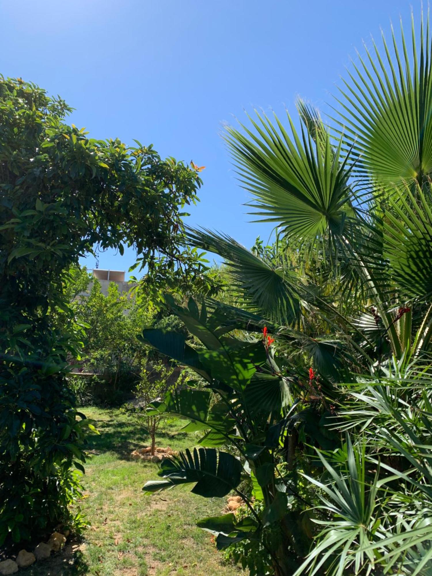 A Tranquil Garden Apartment, Carvoeiro - Benagil Exteriör bild