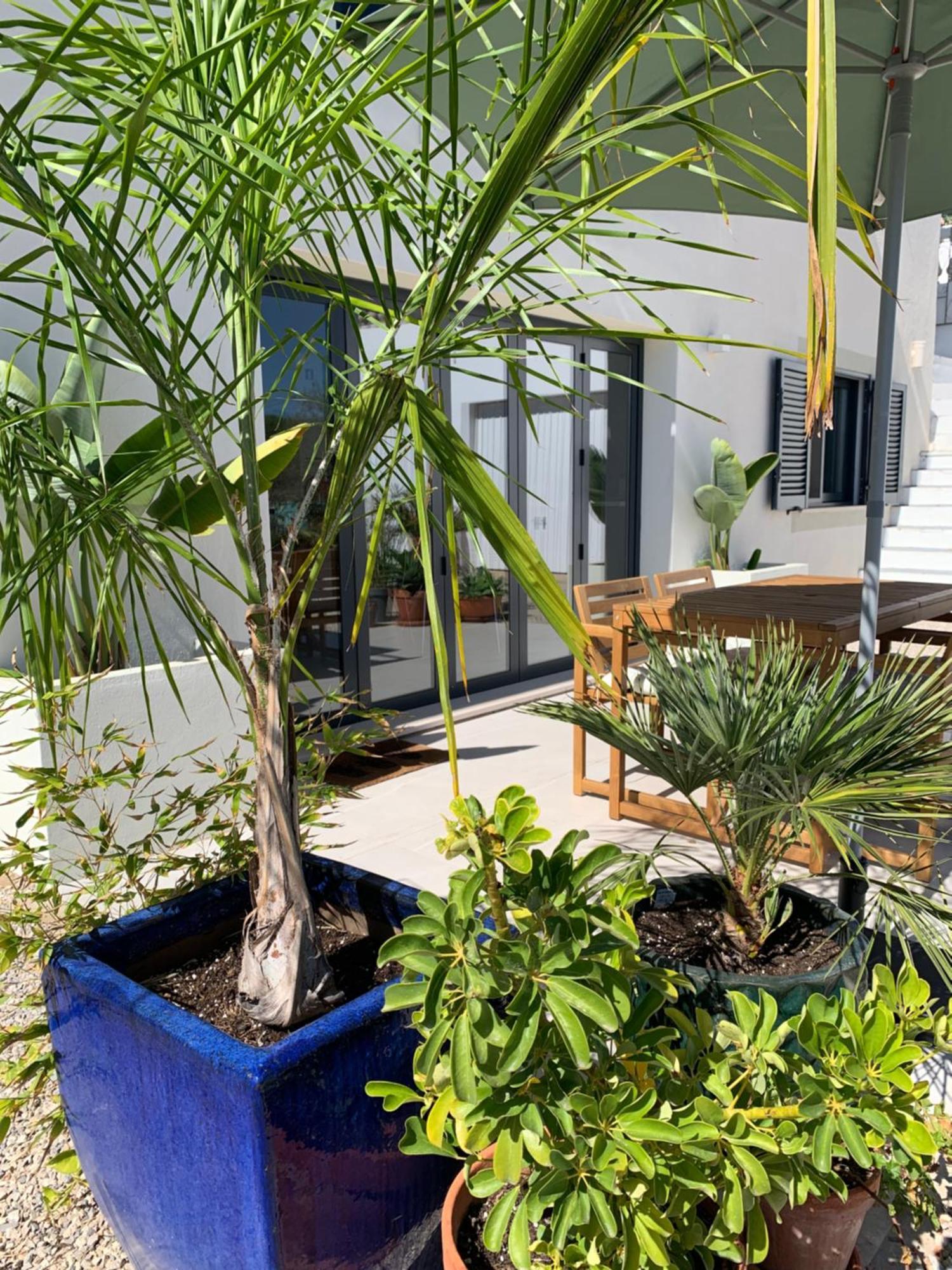 A Tranquil Garden Apartment, Carvoeiro - Benagil Exteriör bild